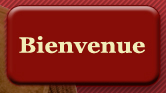 Fran&ccedil;ais